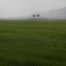 천년의 정원 이미지