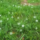 충혼비(고성군) 이미지