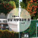 금광1동제1공영주차장 | 성남 가볼만한 곳 성남희망대공원 등 능소화 폭포 실시간 개화현황 (2026.06.27.)