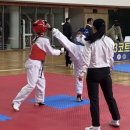 명장 태권도장 이미지