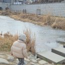 수원시 팔달구 화서문로75번길 이미지