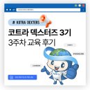 드림커머스 | deXters] 코트라 덱스터즈 3기 3주차 후기ㅣ해외경제정보드림, 트라이빅, 무역통계/시장 보고서, 디지털...