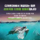디저트39순천 - 순천시 오천6길 26 | 디저트39순천