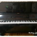 피아노포레스트