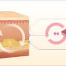 맑은빛피부과의원 이미지