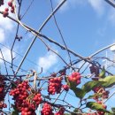 좋은농장 이미지