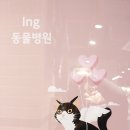 고병기동물병원 이미지