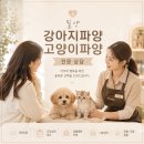 밀양한우동물병원 | 밀양강아지파양 밀양고양이파양 정말 많이 고민하다 상담받은 후기
