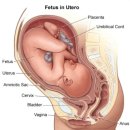 예스한의원 이미지