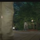 대기3리 이미지