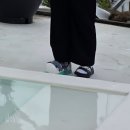 코스타리몬 | 공주 코스타리몬 풀빌라 독채 펜션 후기 아산 시골밥상마고