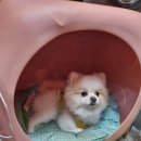 디톤헤어상일동역점 이미지
