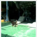 대화카센타 이미지