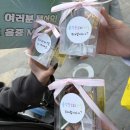 비니피자요 | 갑자기 낉여온 뀨비니 스페셜스테이지 사녹 후기