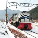 [울산출발] 1월 17일(토) 백두대간 협곡열차 &amp; 분천 싼타마을 힐링 여행 🎅 이미지