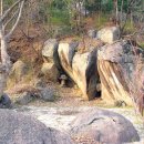 간척3리 이미지