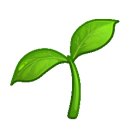 젤리코스 이미지