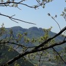 동산이마을회관 Daum카페