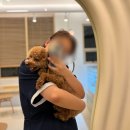 그루밍독스 이미지