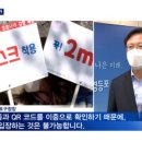 청담고양이 이미지