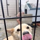 저스트슬립호텔 당진서해대교점 이미지