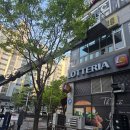 아침마을 아파트 입구 108동 앞 횡단보도 | 파주 피부관리샵 상가인테리어 교하 간판시공