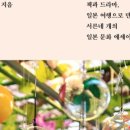 문화이야기