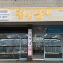 강아지,반하다 이미지