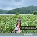 궁남로7 이미지