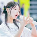 하인드 이미지