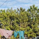 순양민박 이미지