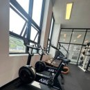 팀 드래곤 복싱 장곡점 이미지