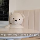 24시간 생활밀착 영어 VLOG 이미지