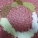 스타켄넬 이미지