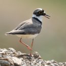 구만리로 6 이미지