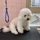 꼬망망 이미지