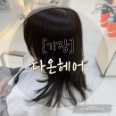 담희헤어 네이버블로그