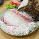 어고기 이미지