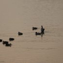 호수정감 이미지