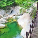 대원사 - 충주시 | 대원사