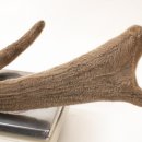 나비온한의원 이미지