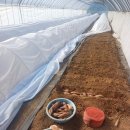 예은농장 이미지