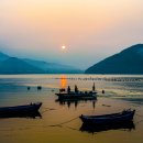 사궁두미 이미지