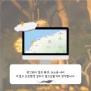 해안길펜션민박 | 애월 애견동반 숙소 제주 독채 민박 스테이멀리 펜션 후기