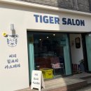 타이거살롱 이미지