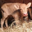 코람데오농장 이미지