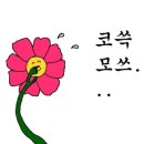 흑백사장더필름 - 수원시 팔달구 화서문로 24-1 | 흑백사장더필름