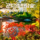 곤지암 화담숲 모노레일 시간 예약부터 꽃구경 후기