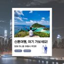 창원 신혼여행 은 고고투어앤신혼여행 으로 허니문 다녀온 솔직한 후기