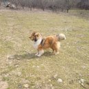 초록마을펜션민박 이미지